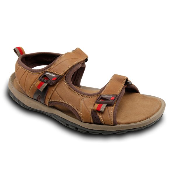 Woodland Men Sandals (3253119) - Nice Footwear